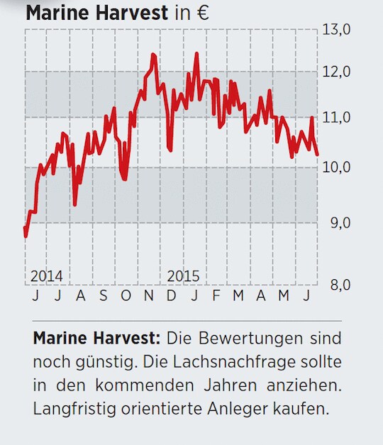 Norwegische Aktien Norwegische Aktien