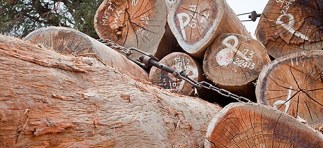 Wertvoller Wald: Von steigenden Holzpreisen partizipieren | finanzen.net