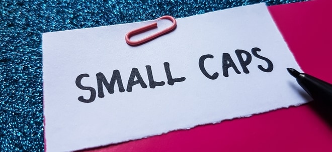 Small Caps mit Marktführerschaft: Warum Investoren diese 3 Werte übersehen