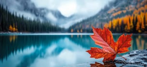 Jahresendrally in Gefahr? AMD, Meta und Rheinmetall in der Analyse mit Lars Erichsen