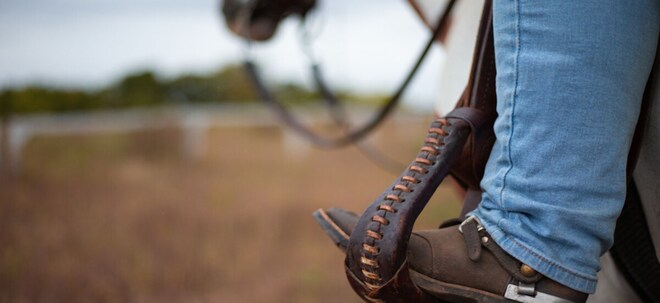 Boot Barn: Wie der Western-Riese im E-Commerce und mit Eigenmarken wächst
