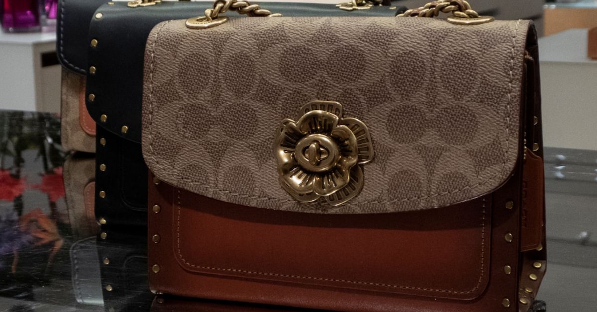 Tapestry (TPR) im Pivotal-Point-Check: 1,5 Mrd. USD Cash-Return für die Aktionäre - Coach-Renaissance und die Gen Z befeuern den Luxus-Konzern!