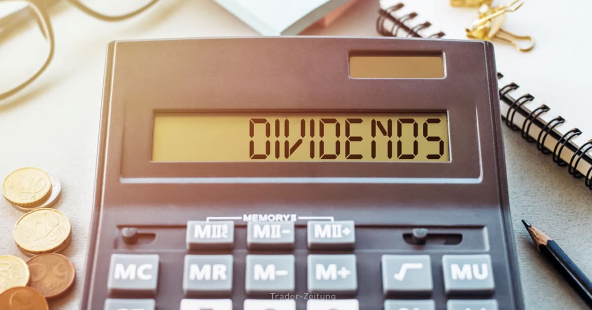 Die Top 5 Dividendenaktien der USA: Hohe Rendite trifft starkes Wachstum
