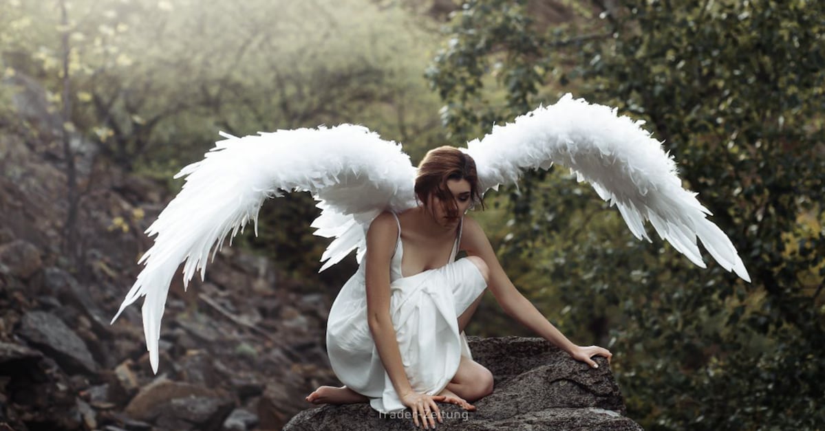 5 Fallen Angels mit starkem Fundament und großem Comeback-Potenzial