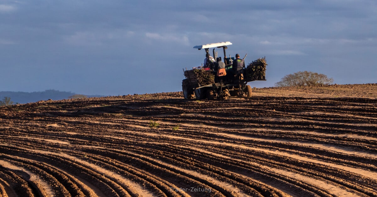 Valmont Industries profitiert von der Modernisierung der Stromnetze — Aktie mit Ausbruch auf Allzeithoch!