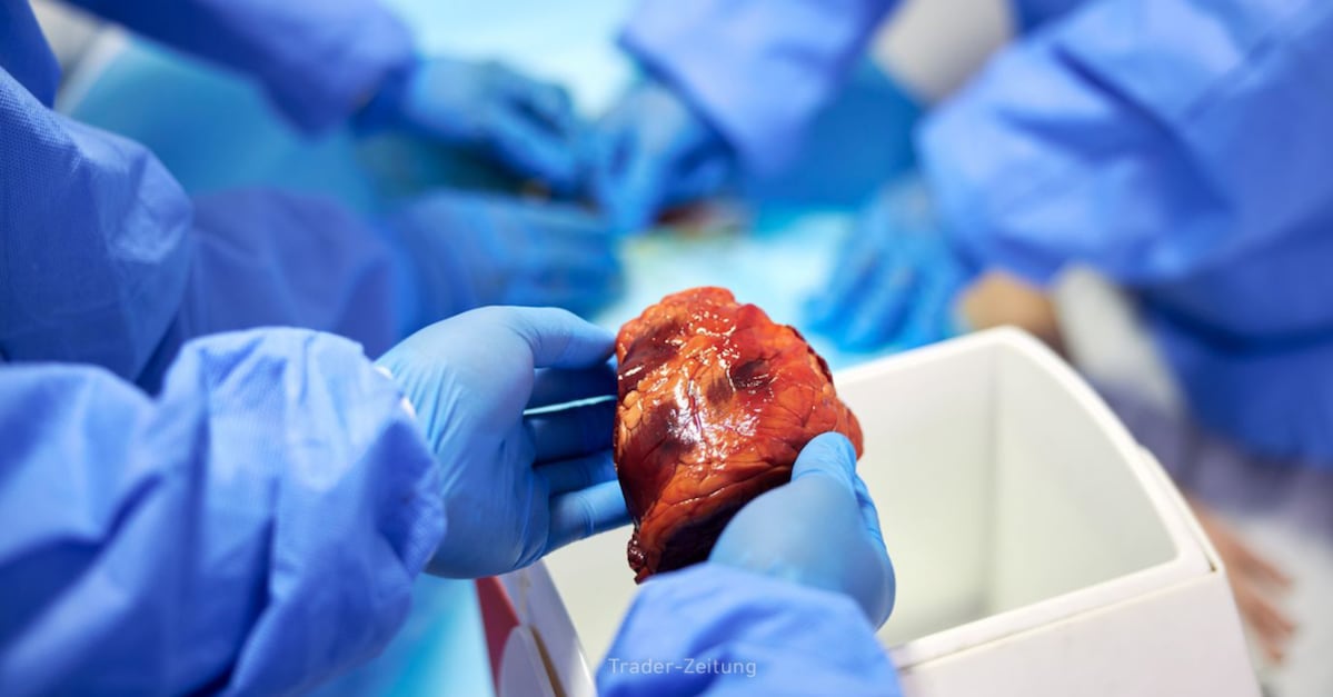 TransMedics: Wie ein MedTech-Pionier die Organtransplantation neu definiert