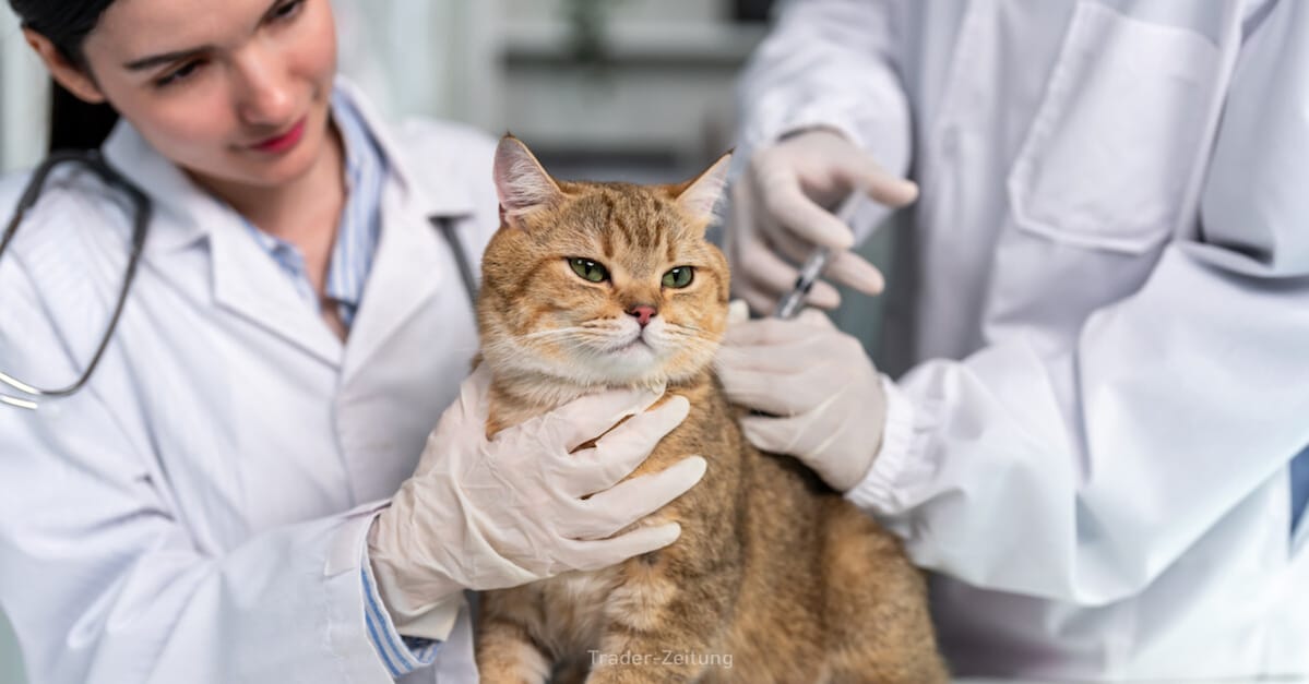 IDEXX Laboratories - Tiergesundheitsspezialist profitiert dank neuer Präparate von der steigenden Zahl bei Haustieren!