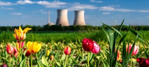 Meinung: Darum dürfte der Konzern von der internationalen, nuklearen Renaissance profitieren!