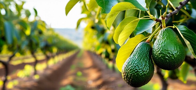 Die Aktie des Avocado-Produzenten Calavo Growers könnte die Bodenbildung abgeschlossen haben - Aktienrückkaufprogramm und Insiderkäufe stützen!