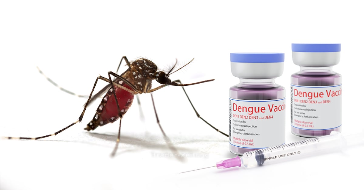 Valneva SE: Chikungunya-Impfstoff löst Trendwende aus!