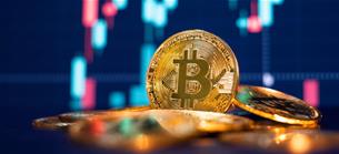 Reiferes Ausgabeverhalten: Bitcoin-Boom: Experten sehen neuen Vermögenseffekt durch Kryptowährungen