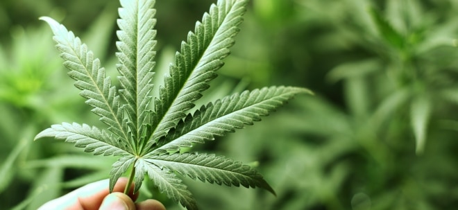 Die besten Cannabis-Aktien kaufen: So profitieren Sie vom Marihuana-Boom