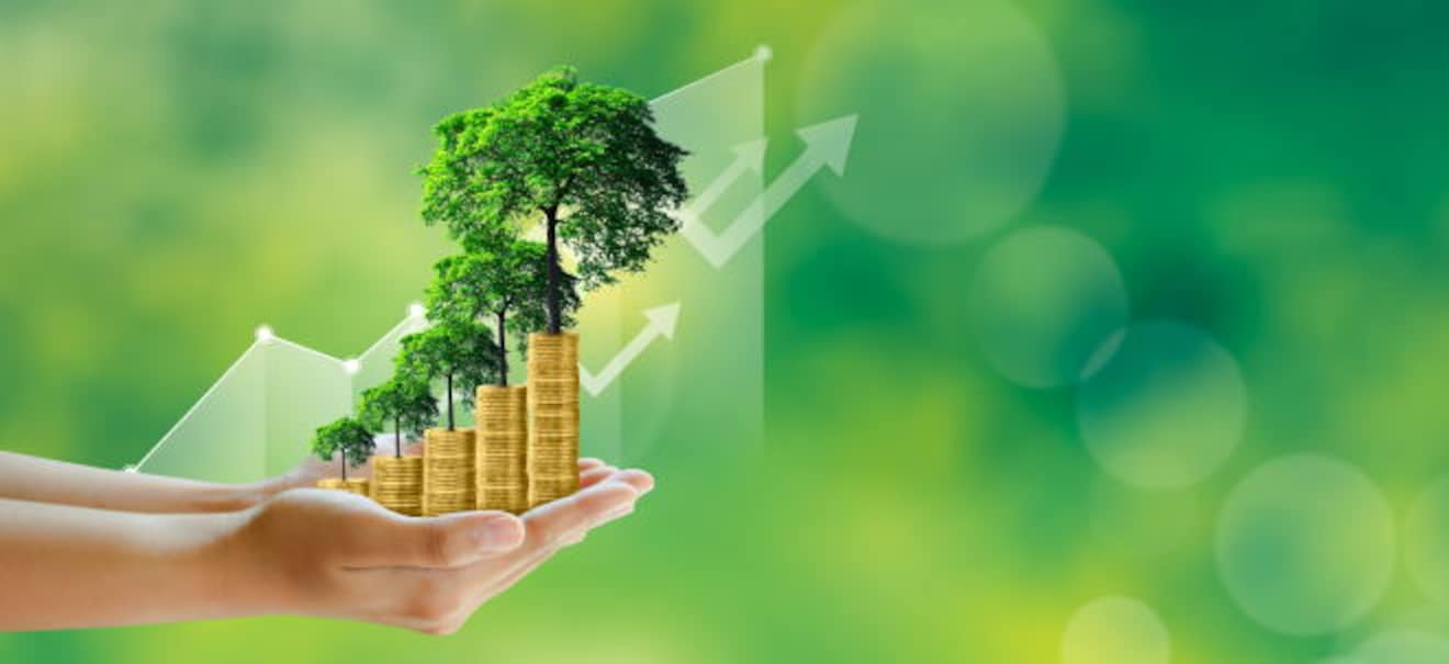 Zukunftsbranche: Karriere in der Nachhaltigkeitsbranche: Diese Chancen bieten sich Arbeiten für eine bessere Zukunft: Jobs und Chancen in der Nachhaltigkeitsbranche | finanzen.net