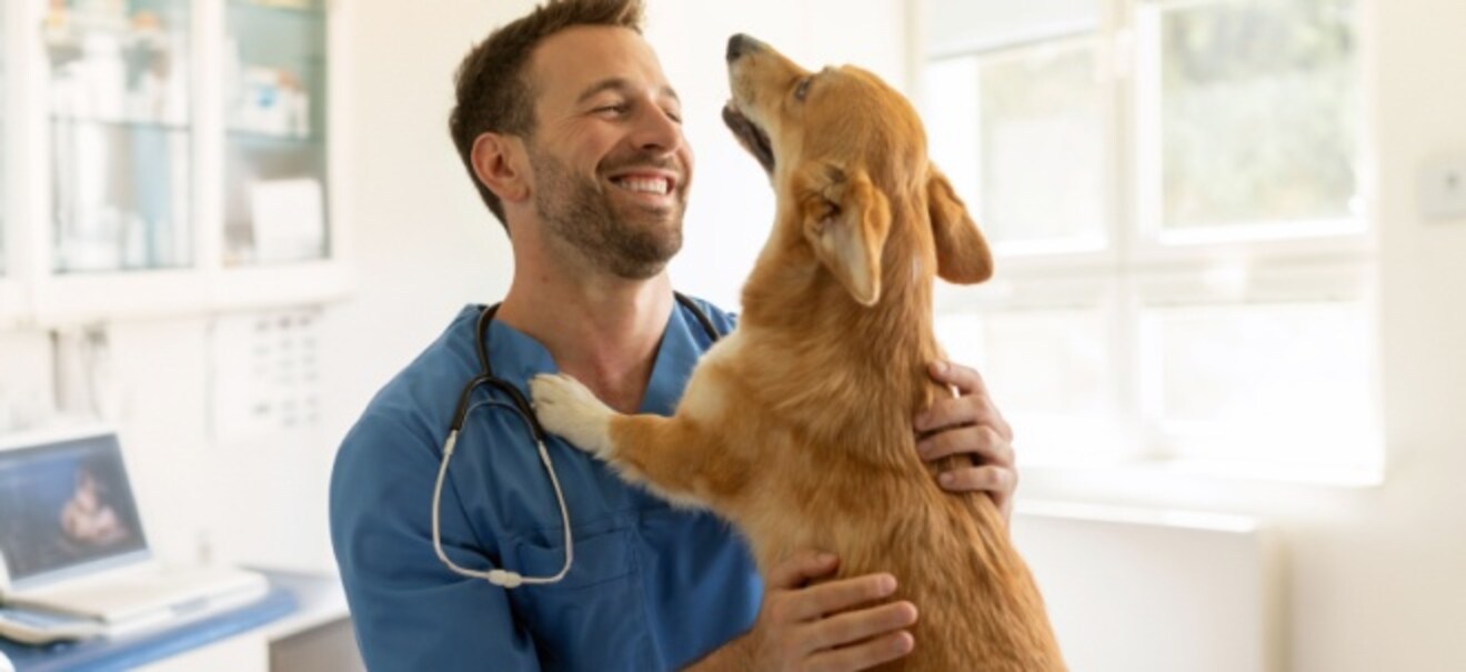 Arztpraxis verkaufen: Wichtige Tipps für Käufer und Verkäufer | finanzen.net