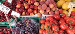 : Россия запретила фрукты из Египта в ответ на отказ покупать пшеницу