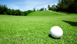 Tiger Woods