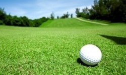 Tiger Woods