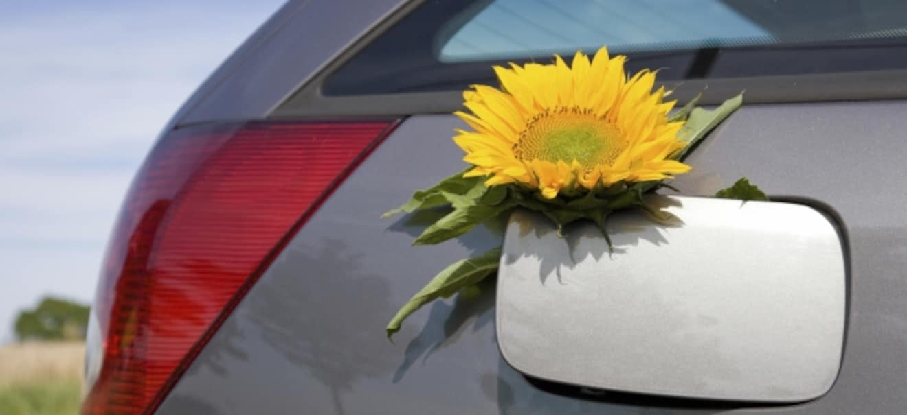 Kein Markt?: Neue Studie: Deutsche Autokäufer machen weiter Bogen um Elektroautos Neue Studie: Deutsche Autokäufer machen weiter Bogen um Elektroautos | finanzen.net
