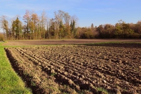Landwirtschaft