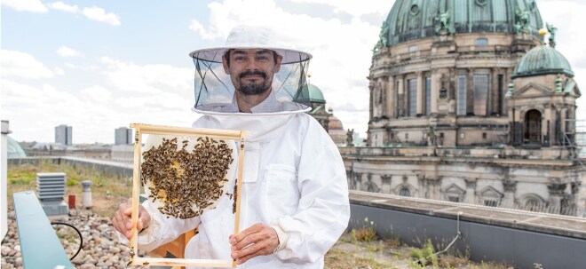 Union Investment siedelt Bienen an: Umweltprojekt mit 33 Immobilien gestartet | finanzen.net