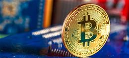 Bitcoin-Treasuries im Blick: Bitwise-CIO rät zum Einstieg beim BTC - Neue Rekordstände erwartet