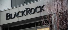 BlackRock-Aktie setzt nach Bitcoin-ETF-Erfolg auf Krypto: ETFs wohl bald direkt auf der Blockchain