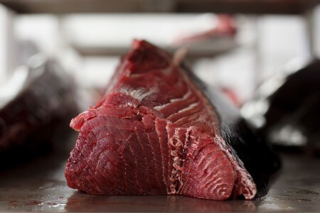 Blauflossenthunfisch