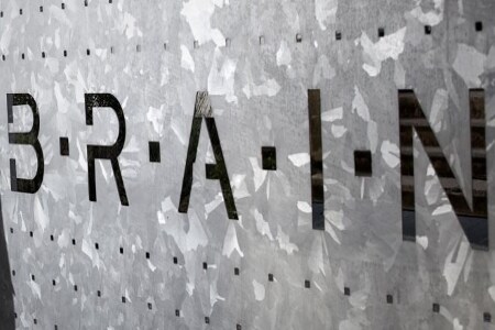 B.R.A.I.N. AG
