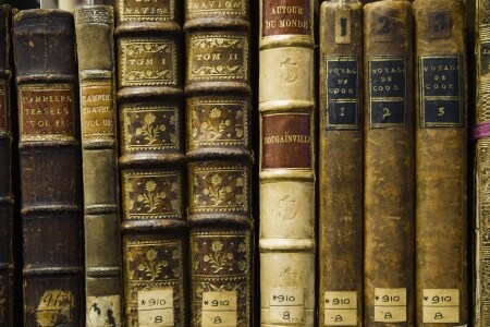Geschichts- und Kulturwissenschaften