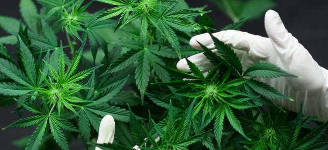 Cannabis-Hype: Branche im Umbruch: Cannabis-ETFs profitieren von Gesetzesänderungen | Nachricht | finanzen.net