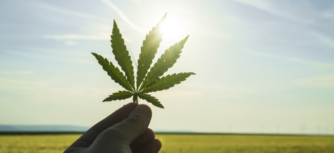 Cannabis-Aktien: Warum es sich lohnt, die Aktien im Auge zu behalten | finanzen.net