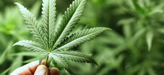 Marihuana-Investments: Cannabis-Aktien oder ETFs - Womit fahren Anleger besser? | Nachricht | finanzen.net