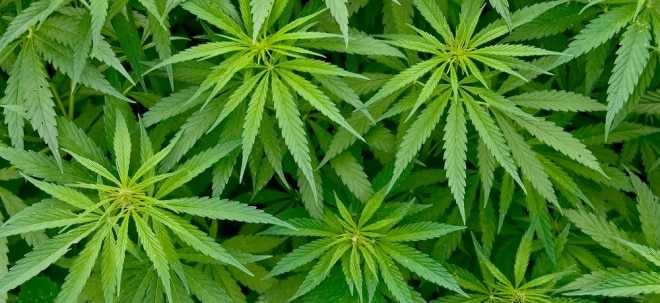 Cannabis-Aktien im Aufwind: OrganiGram steigert Umsatz um fast 420 Prozent | finanzen.net
