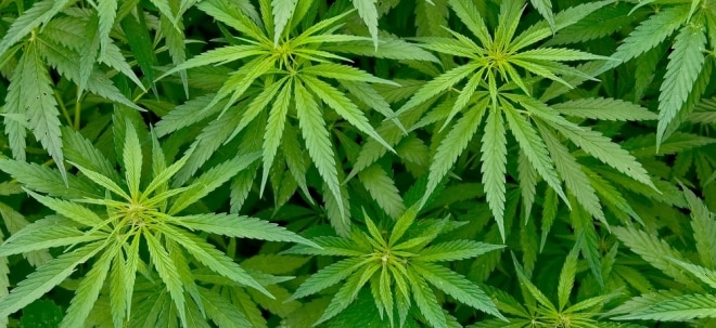 PwC-Studie zum Hanf-Sektor: Sind Cannabis-Aktien aktuell schon überbewertet? | finanzen.net