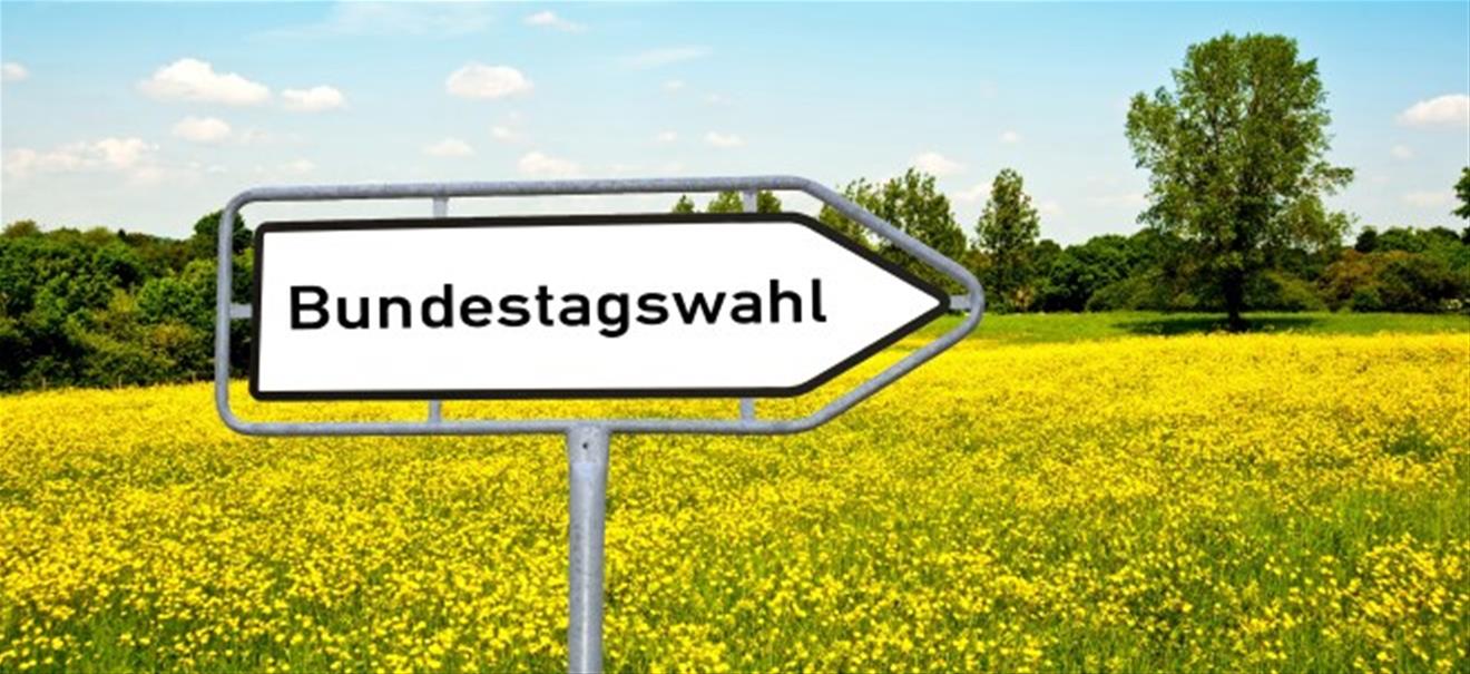 Wahljahr 2017: Karibik statt GroKo | finanzen.net