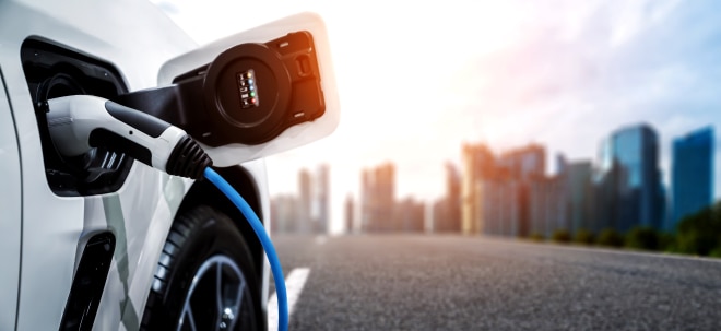 Elektromobilität im Reality-Check: 11 Modelle im Elektroauto