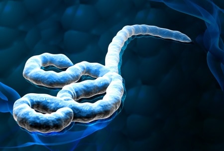 Ebola