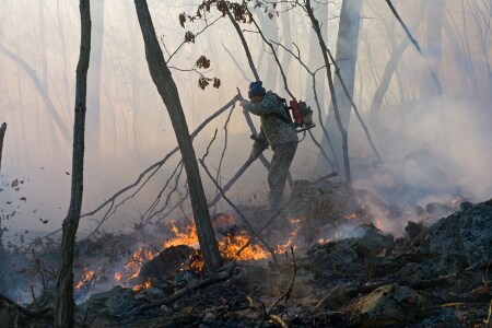 Waldbrandinspektoren und Spezialisten für Brandverhütung