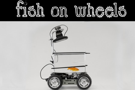 Fish on Wheels