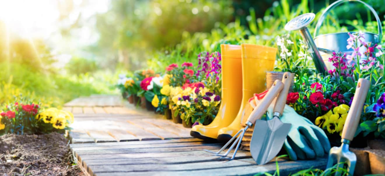 Gartengestaltung: Mit diesen Spartipps gelinkgt ein blühender Garten trotz kleinem Budget Blühender Garten mit kleinem Budget: Spartipps für die grüne Oase zu Hause | finanzen.net