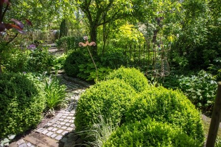 Garten und Blumen