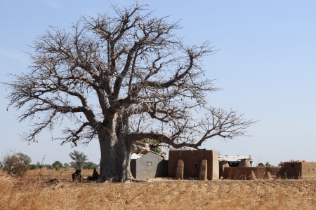 Wärmstes Wetter - Ghana