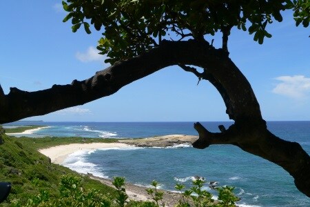 Guadeloupe