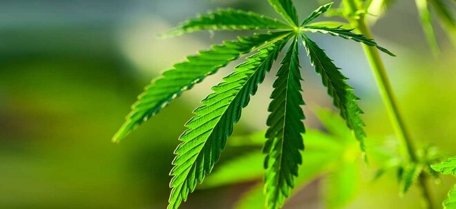 Jefferies nimmt Cannabis-Aktien in die Bewertung auf: So schneiden Aurora, Tilray & Co. ab | finanzen.net