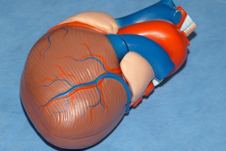 Body-Part-Maker