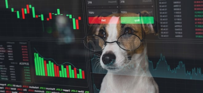 Dogs of the Dow: Dividendenstrategie mit höheren Renditen als der Dow Jones | finanzen.net