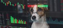 "Dogs of the Dow" für 2025: Diese Investments empfiehlt die beliebte Dividendenstrategie