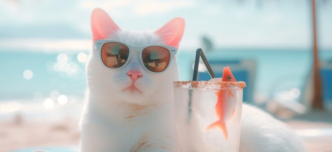 Mit der Katze in den Urlaub: Worauf muss man achten?
