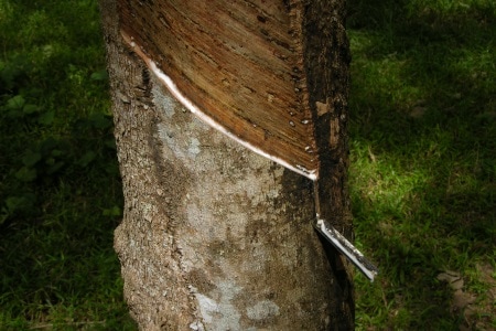 Kautschukindustrie