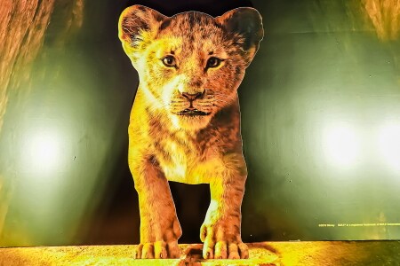 Der König der Löwen
